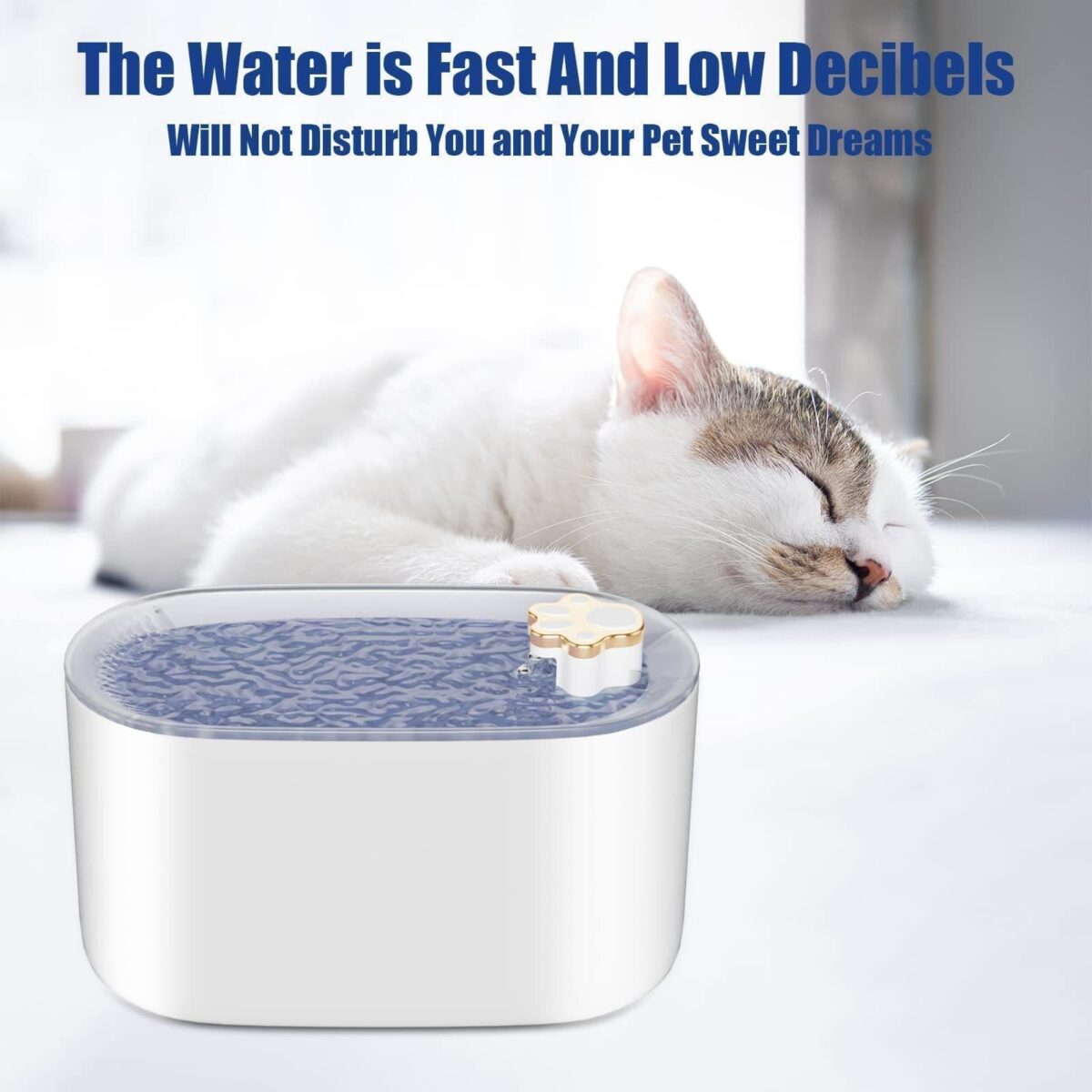 <ul> <li><strong>Ultra-Quiet Pump</strong>: Operates below 30dB for a peaceful environment.</li> <li><strong>LED Light Alerts</strong>: Red light for low water; blue for normal operation.</li> <li><strong>3L Capacity</strong>: Ideal for 7 days for cats, 3-4 days for small dogs.</li> <li><strong>Triple Filtration</strong>: Removes 99% of impurities for clean water.</li> <li><strong>Easy to Clean</strong>: Quick-release design for hassle-free maintenance.</li> </ul>