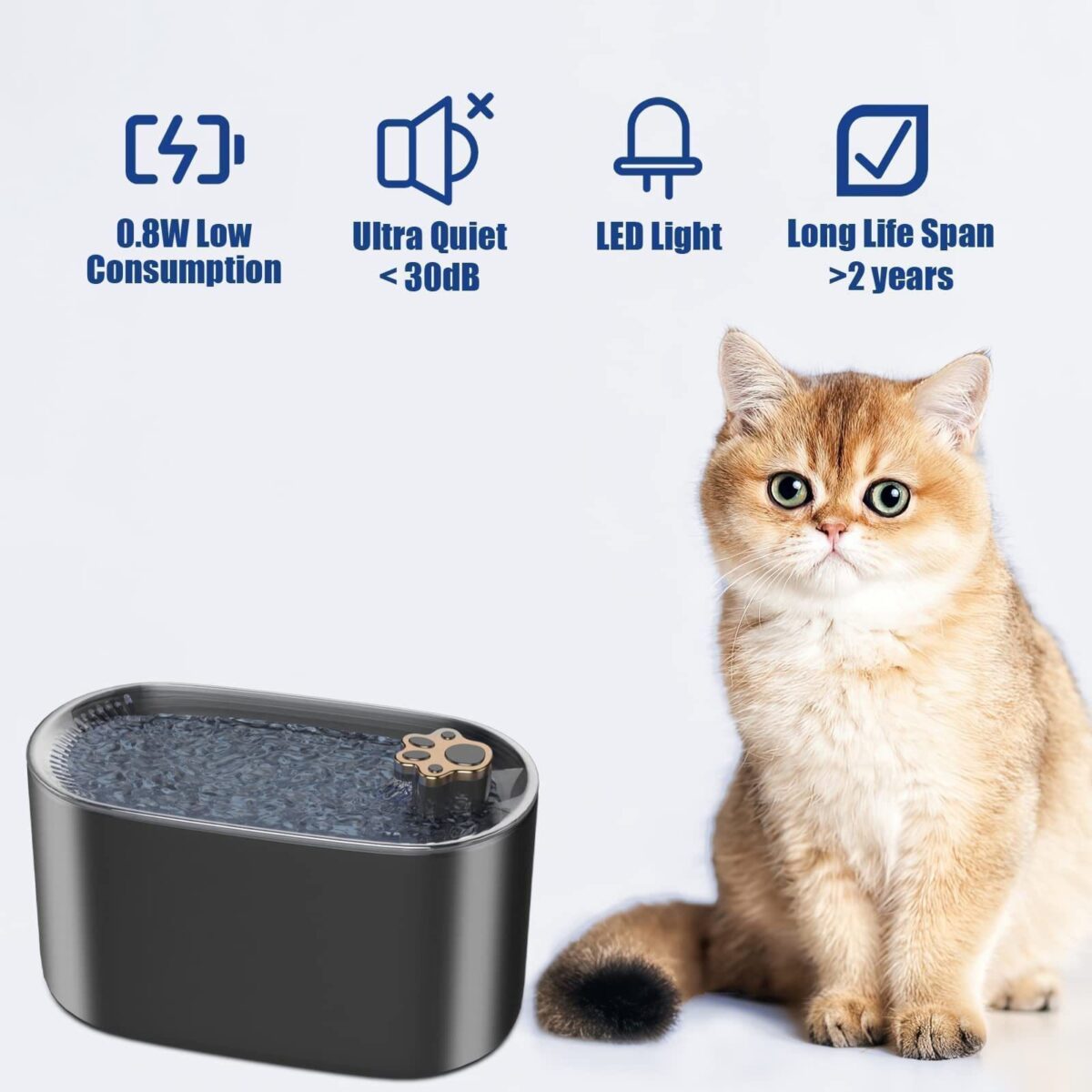 <ul> <li><strong>Ultra-Quiet Pump</strong>: Operates below 30dB for a peaceful environment.</li> <li><strong>LED Light Alerts</strong>: Red light for low water; blue for normal operation.</li> <li><strong>3L Capacity</strong>: Ideal for 7 days for cats, 3-4 days for small dogs.</li> <li><strong>Triple Filtration</strong>: Removes 99% of impurities for clean water.</li> <li><strong>Easy to Clean</strong>: Quick-release design for hassle-free maintenance.</li> </ul>