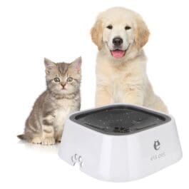 A gray kitten and a cream-colored dog sitting beside an Anti-Overflow Pet Water Bowl with a unique floating plate design to prevent spills and ensure pets have access to clean water.