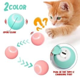 Orange kitten curiously observing the Cat Gravity Intelligent Rolling Ball, showcasing its two-color design and Type-C charging port. The interactive toy is depicted with motion arrows indicating its rolling movement, designed to stimulate a cat’s natural hunting instincts.