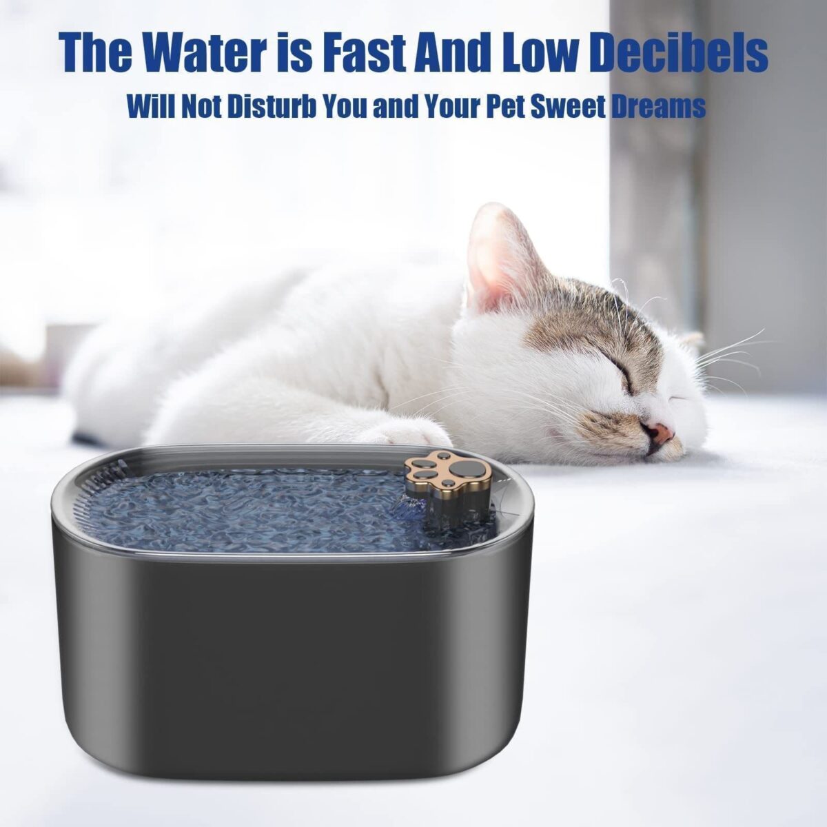 <ul> <li><strong>Ultra-Quiet Pump</strong>: Operates below 30dB for a peaceful environment.</li> <li><strong>LED Light Alerts</strong>: Red light for low water; blue for normal operation.</li> <li><strong>3L Capacity</strong>: Ideal for 7 days for cats, 3-4 days for small dogs.</li> <li><strong>Triple Filtration</strong>: Removes 99% of impurities for clean water.</li> <li><strong>Easy to Clean</strong>: Quick-release design for hassle-free maintenance.</li> </ul>