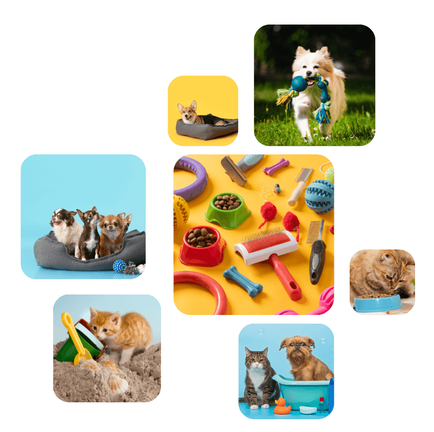 Collage of various pet care activities featuring cats and dogs engaging in play, grooming, and feeding